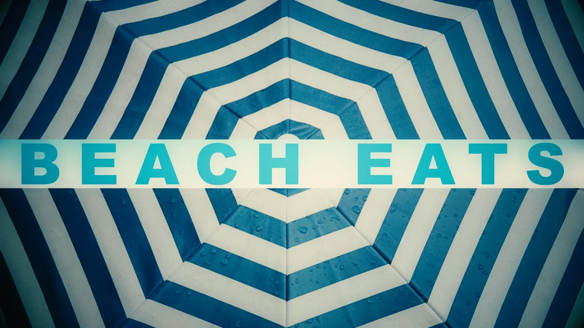 Beach Eats USA key art