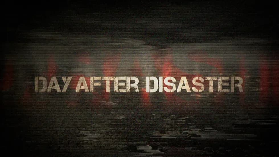 Day After Disaster key art