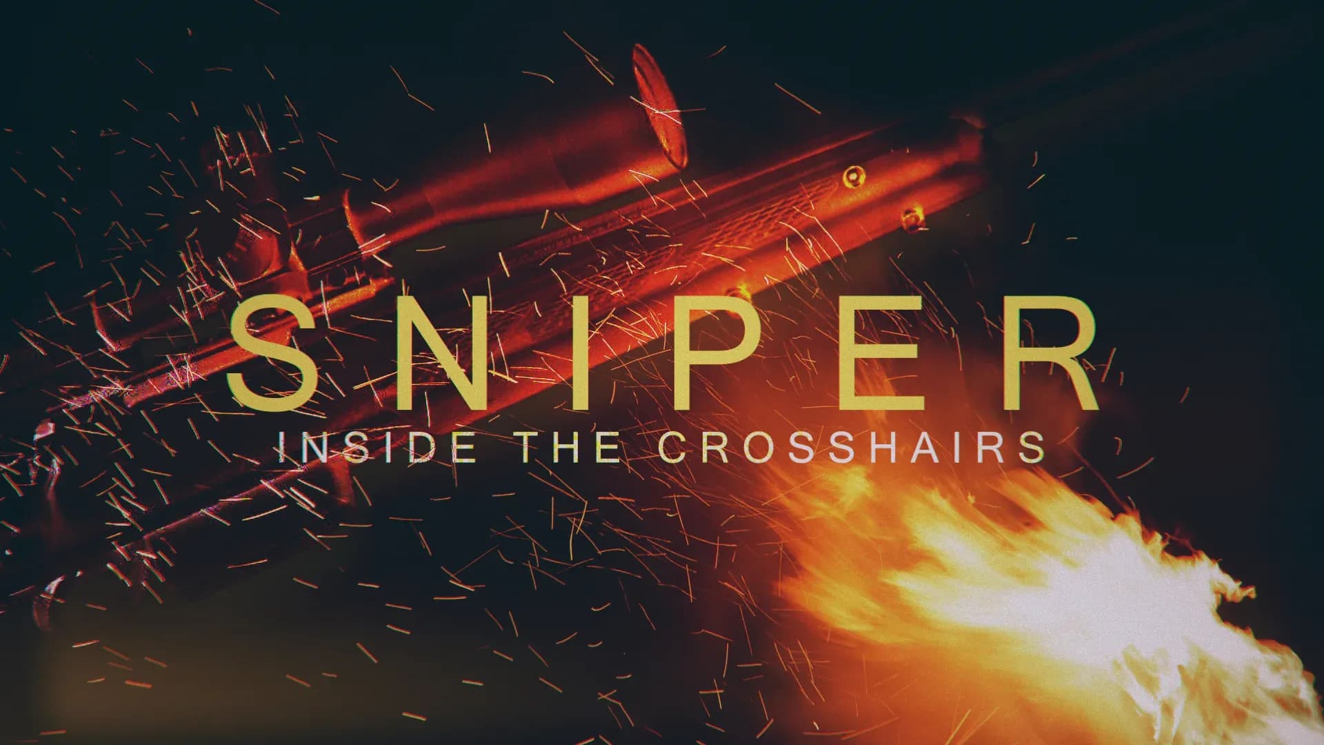 Sniper: Inside the Crosshairs key art